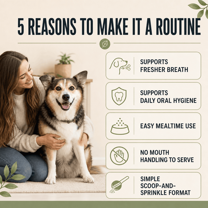 Dog Dental Powder